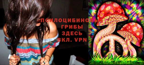 твердый Гусиноозёрск