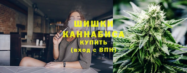 твердый Гусиноозёрск