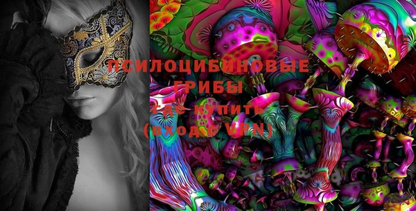 спиды Дмитров
